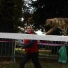 foire-haricots 2011-09-17et18